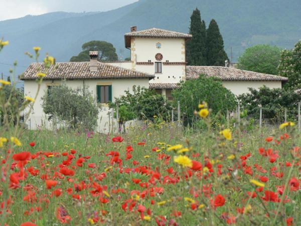 La Palombaia Vendégház Spoleto Kültér fotó